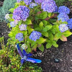 10k necklace, 14 necklace and 14k ring .